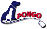 Pongo